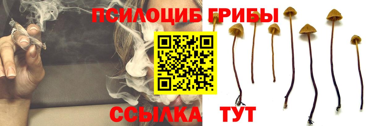 Вичуга  Псилоцибиновые грибы MAGIC MUSHROOMS  Вход с VPN  Псилоцибиновые грибы мухоморы 